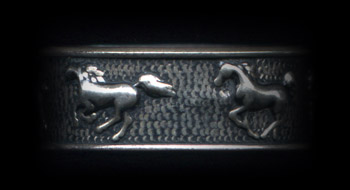 Horse ring...